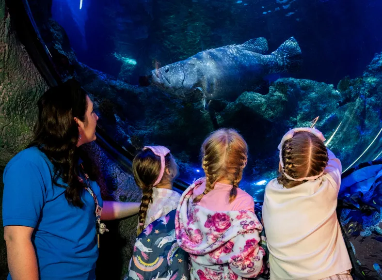 Screenshot 2025 10 30 153031