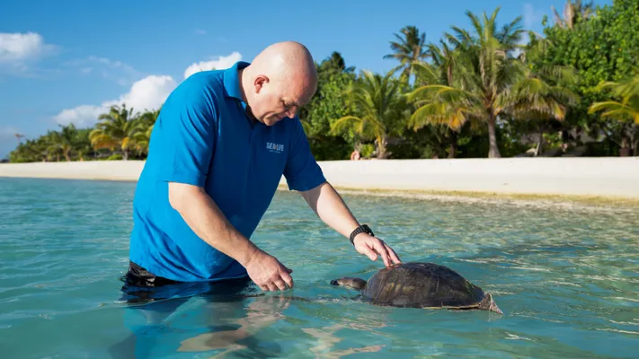 April The Turtle In The Maldives