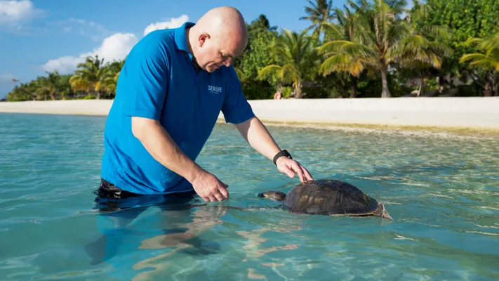 April The Turtle In The Maldives