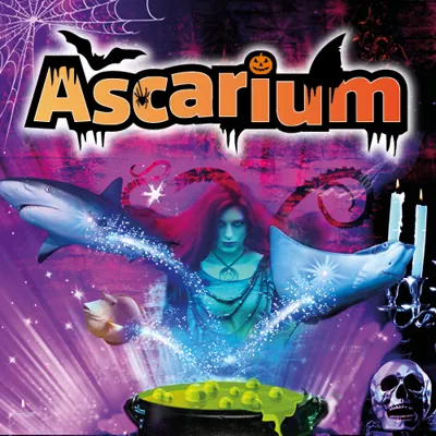 SEA LIFE Ascarium Web 500X500