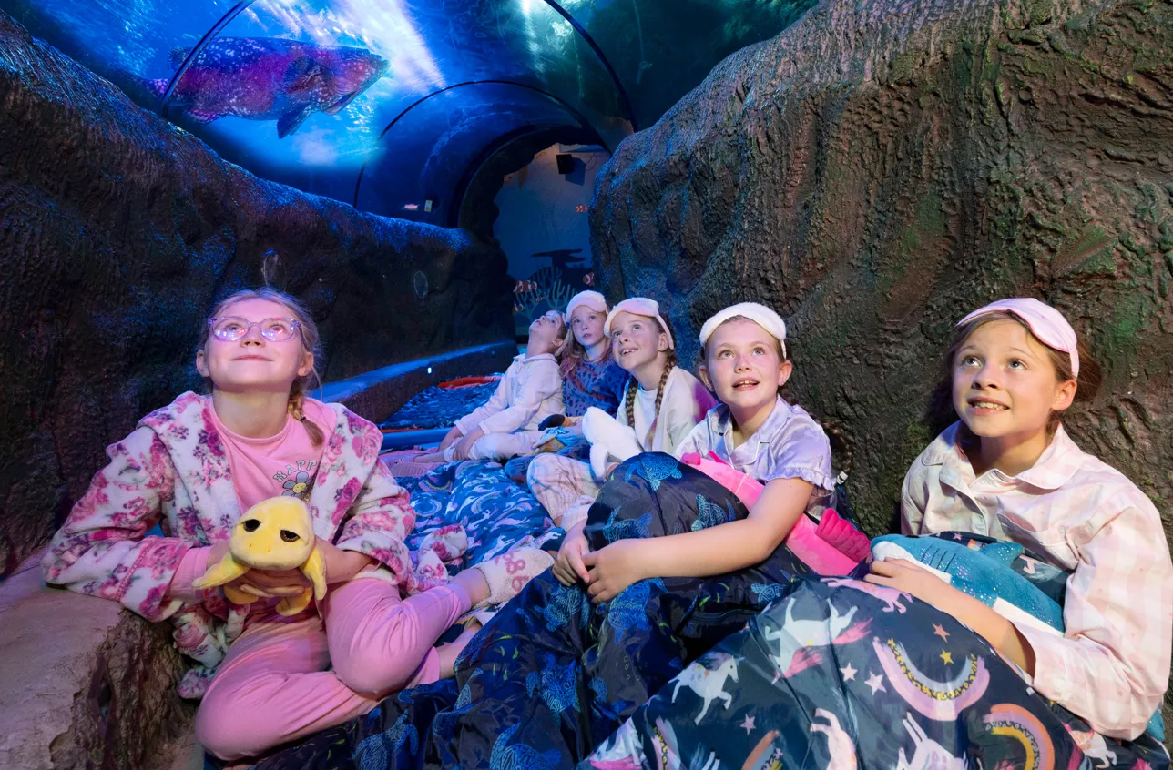 Screenshot 2025 10 30 152646