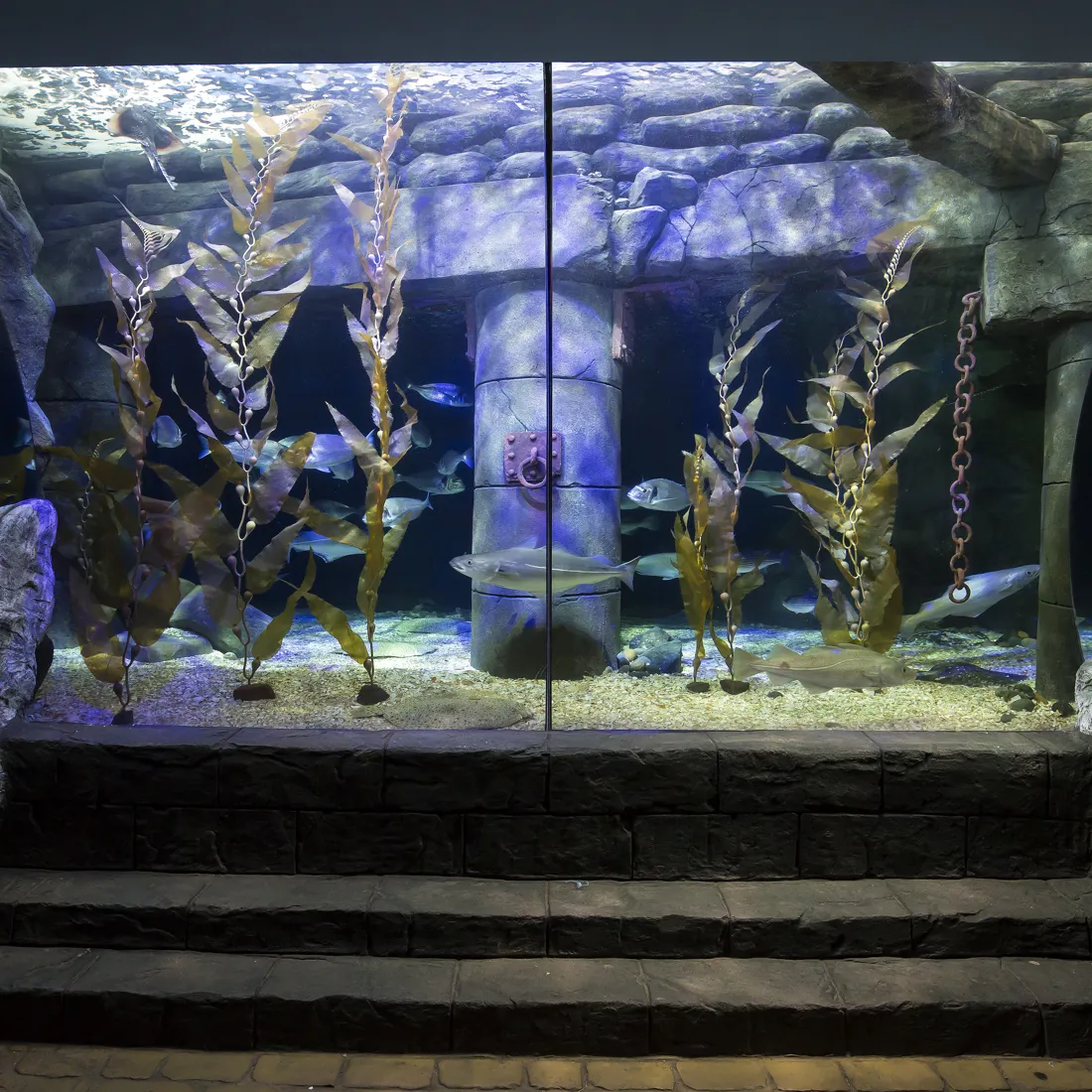 Zones & Habitats SEA LIFE Loch Lomond Aquarium