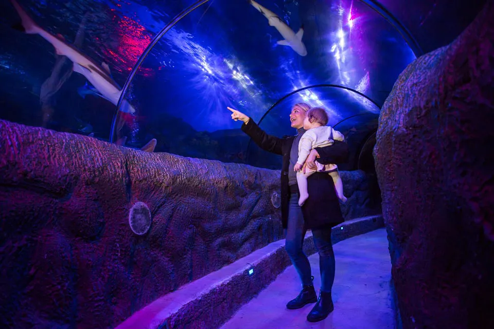 Loch Lomond Ocean Tunnel