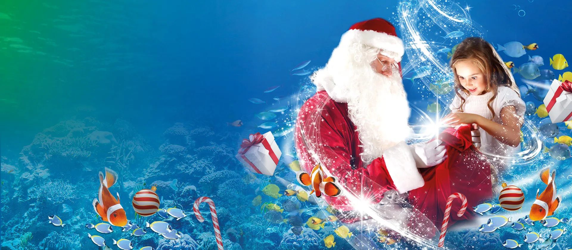 Visit SEA LIFE Loch Lomond Aquarium Centre