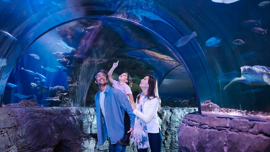 Tickets &amp; Prices | SEA LIFE Loch Lomond Aquarium
