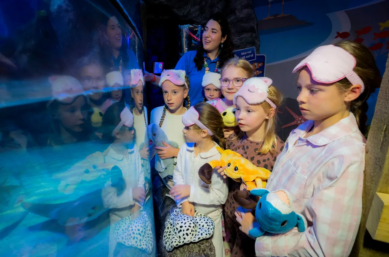 Screenshot 2025 10 30 152726