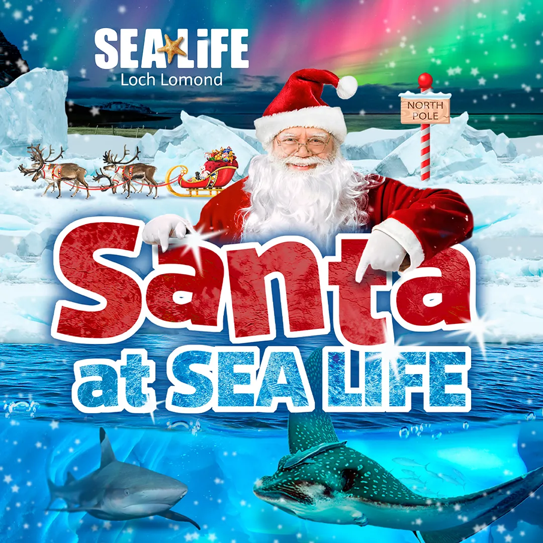 Santa At SEALIFE 2025 1080X1080 Loch Lomond[4]