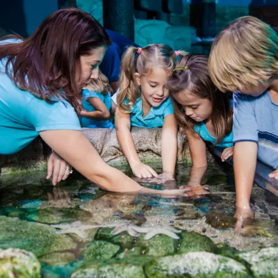 Children at a Rockpool at SEA LIFE
