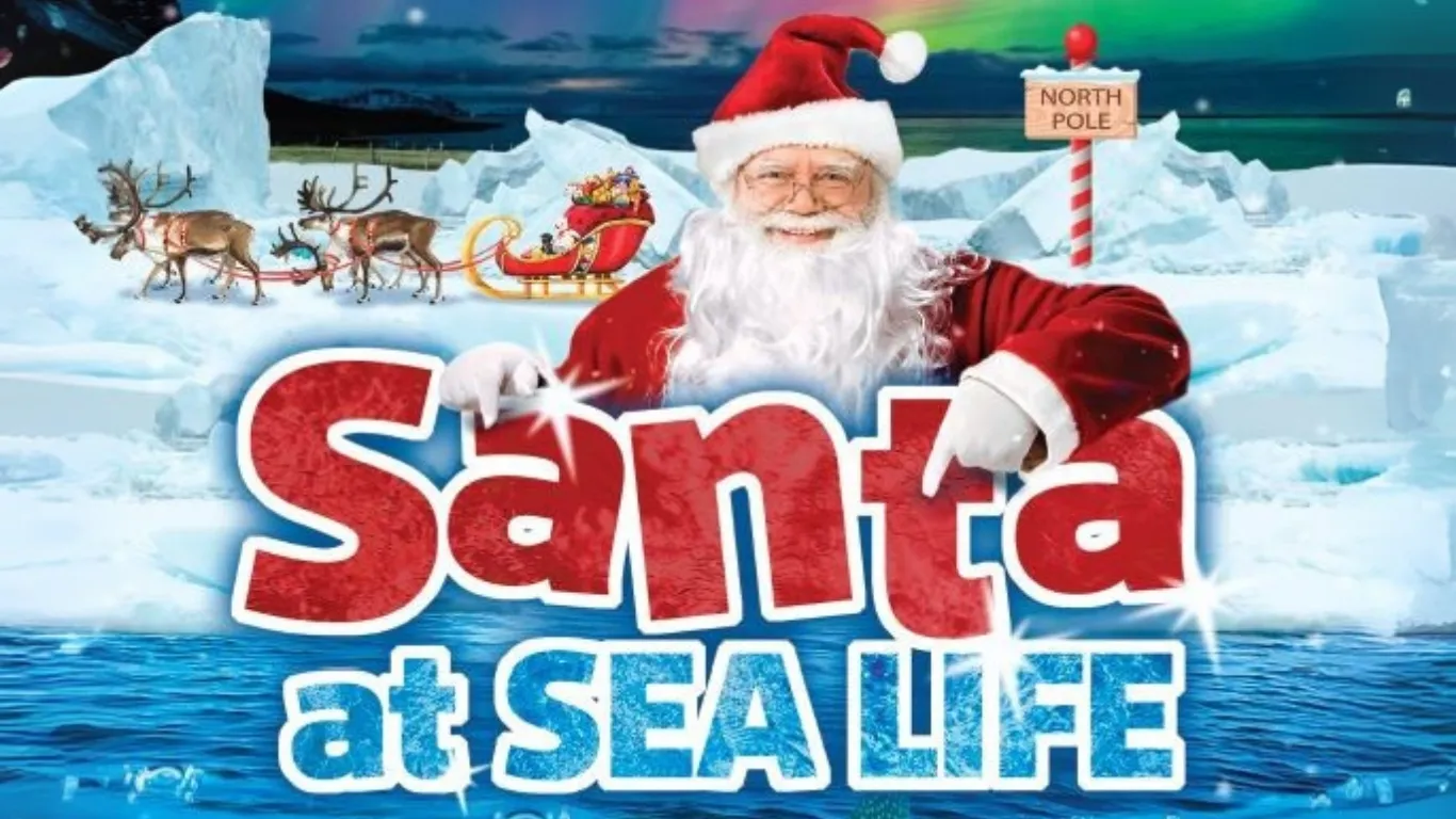 Untitled Design (17)