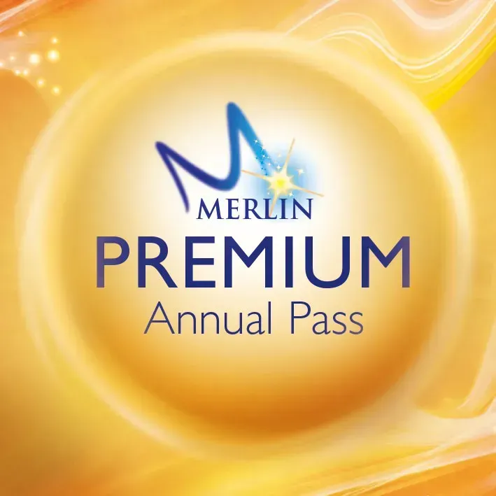Premium Map Square