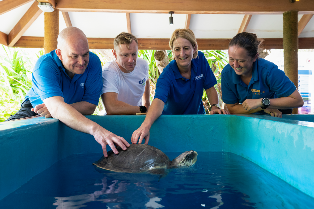 Rehabilitation and conservation work of Turtles at SEA LIFE Loch Lomond