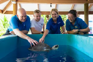 Rehabilitation and conservation work of Turtles at SEA LIFE Loch Lomond