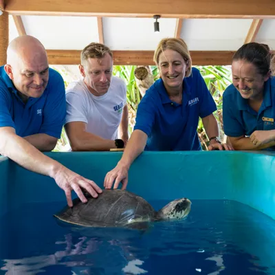 Rehabilitation and conservation work of Turtles at SEA LIFE Loch Lomond