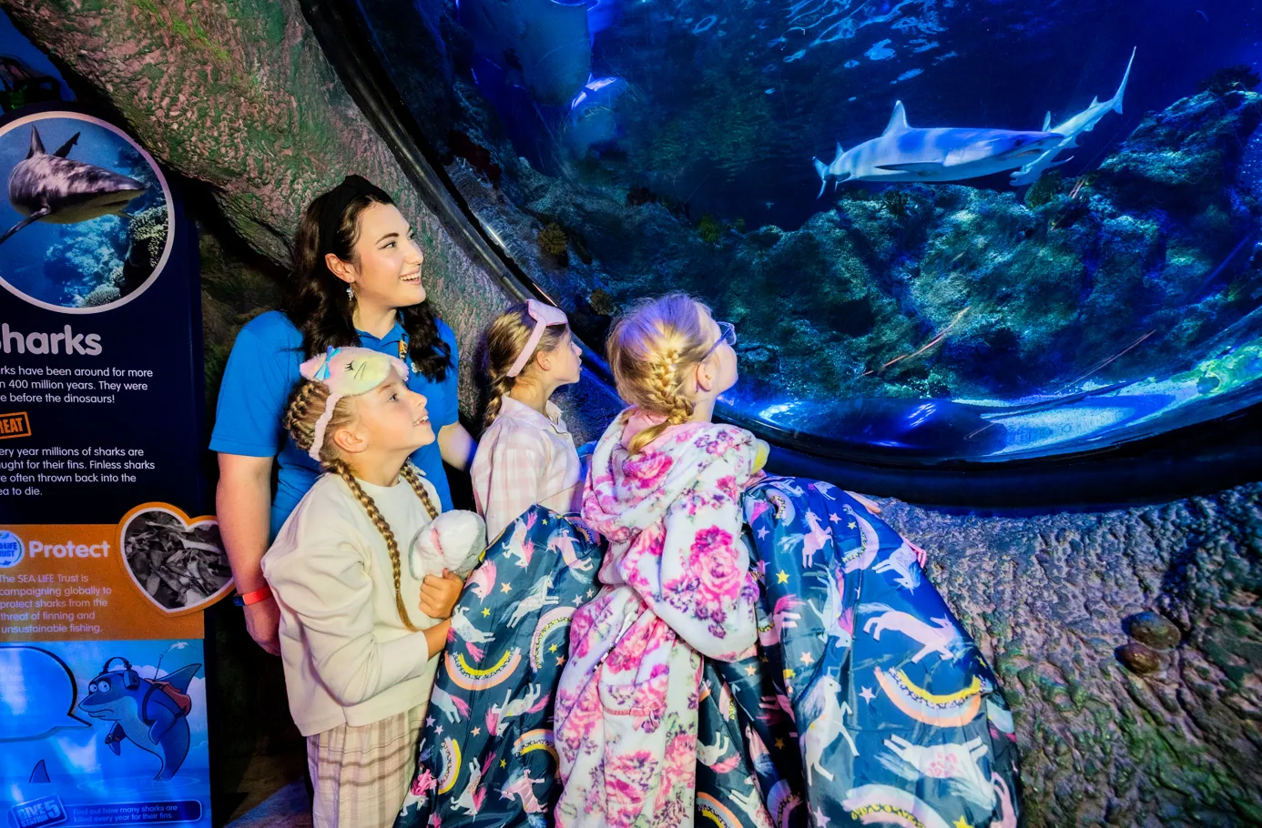 Screenshot 2025 10 30 152341