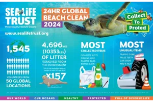 GBC 2024 Stats