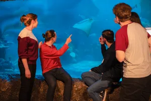 Sealife VIP Experience 7