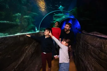 USF0172 Sealife Shoot 1 Ocean Tunnel Stills 01