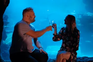 Sealife VIP Experience 4