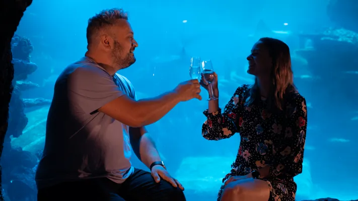 Sealife VIP Experience 4