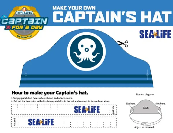 Captain Hat Website Tile