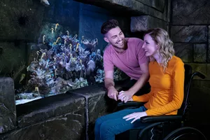 Sea Life Wheelchair Accessibility