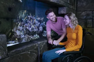 Sea Life Wheelchair Accessibility