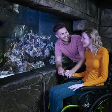Sea Life Wheelchair Accessibility