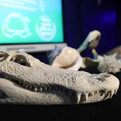 STEM IMAGE Content 1