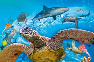 Turtle