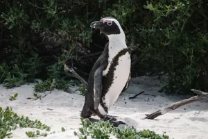 Joshua Kettle Kdi6bwoupom Unsplash