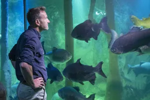 Sealife Benfogle 088
