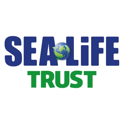 sea life