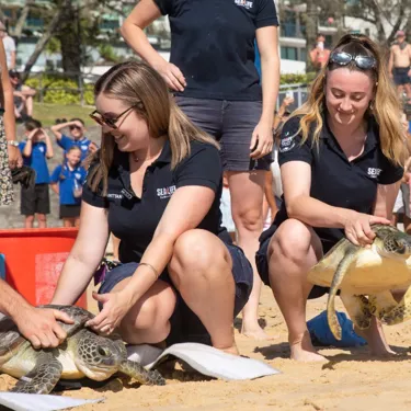 Turtle Release Australia