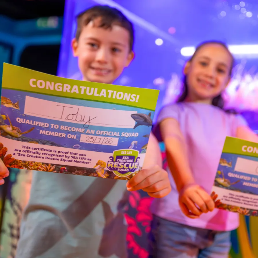 Summer Event at SEA LIFE London | Sea Creature Rescue Squad 2026