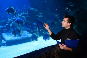 Counting Fish