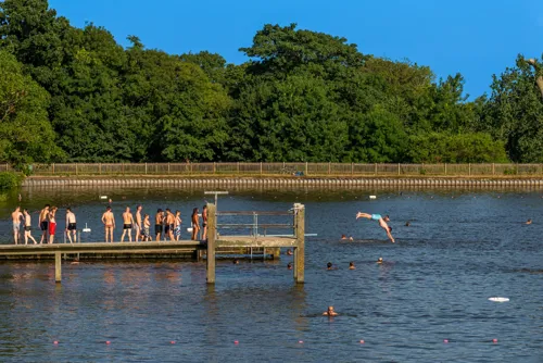 image of hampstead heath swimming pond from secretldn.com