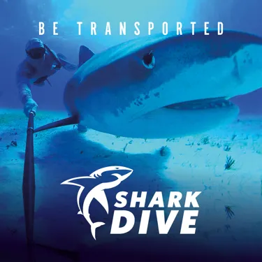 Immotion Shark Socialgraphic 3 2024