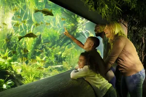 10703 RAINFOREST FAMILY1 JPEG 95 8386 Fin V5 Crop Lo Res