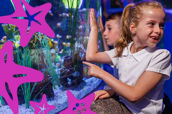 Schools Section 1 600X400