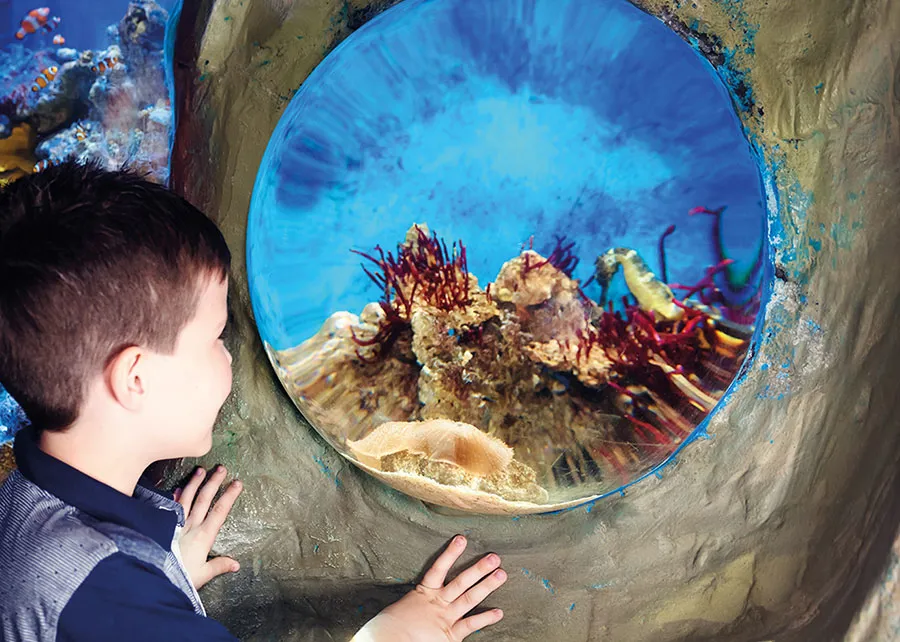 Schools Column 3 900X642 (1)