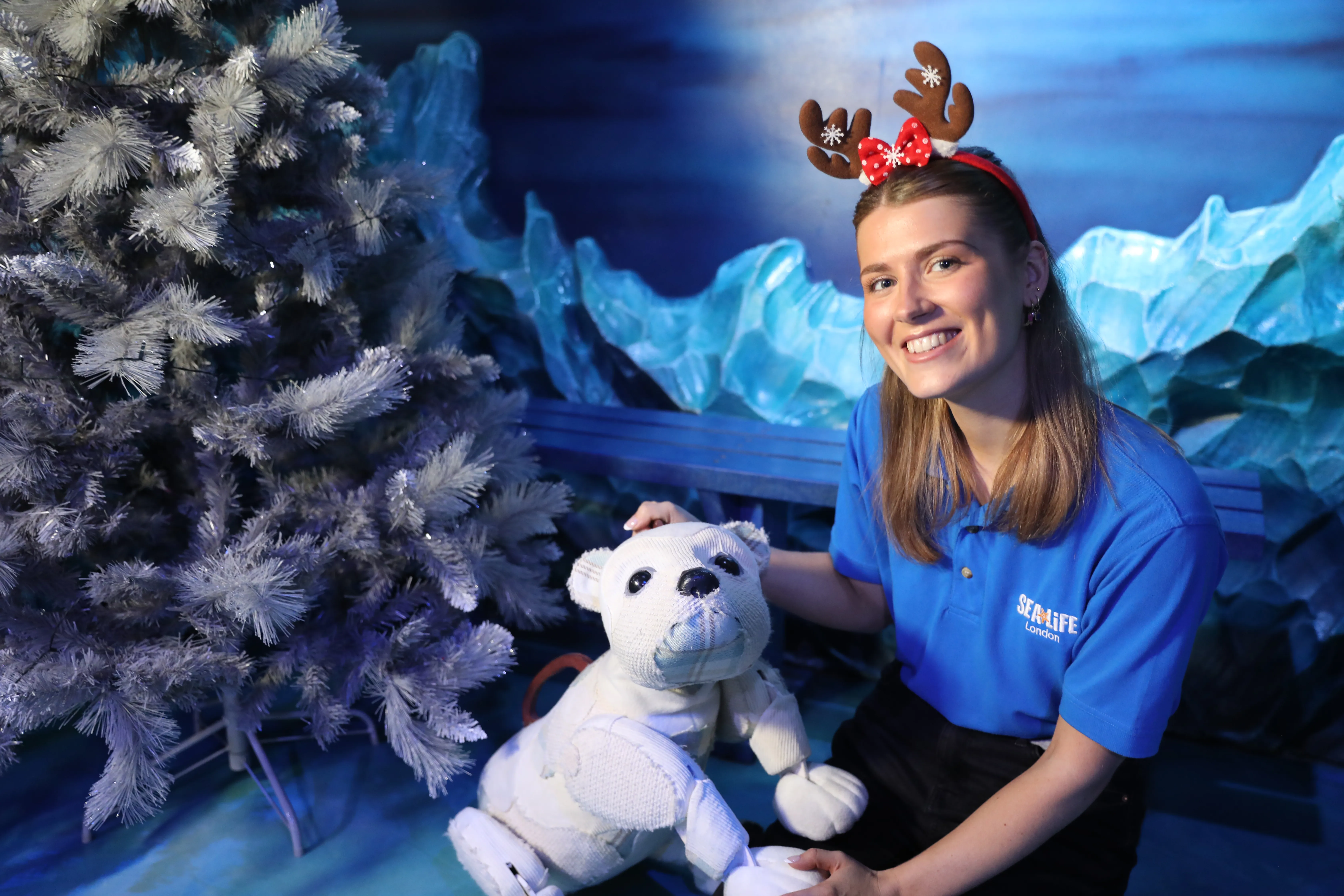 SEA LIFE London staff member sitting with Al the Polar Bear Puppet besides a Christmas tree 