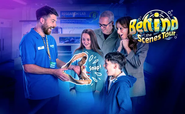 Behind the scene tour at SEA LIFE London