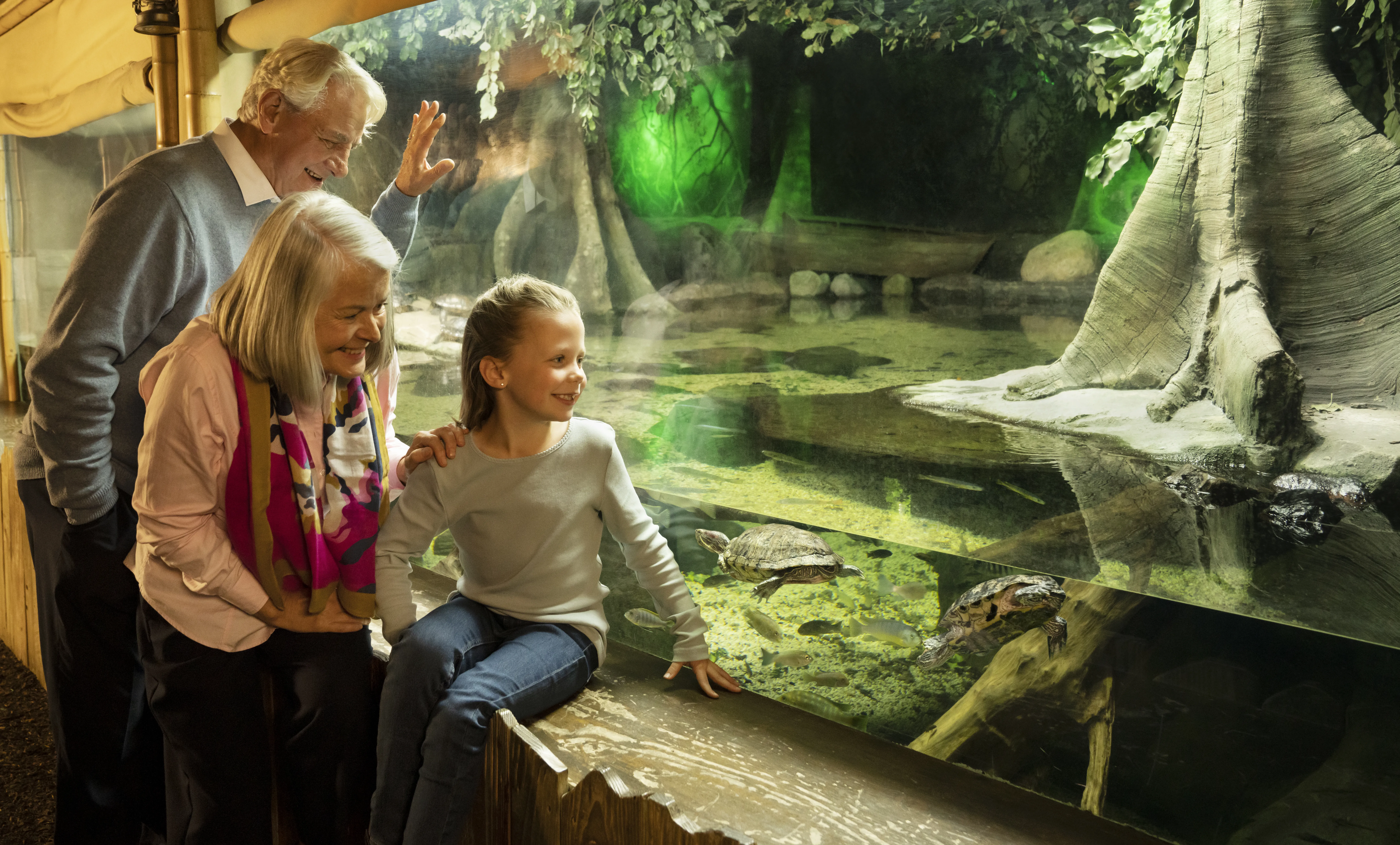 Rainforest Adventure