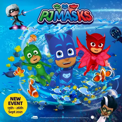 Web Image