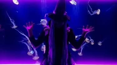 Jellyfish Witch