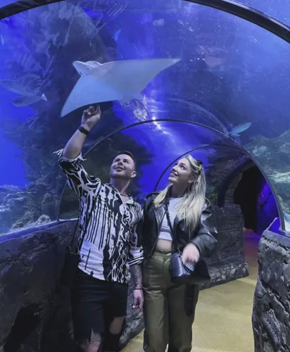 Ocean tunnel instagram