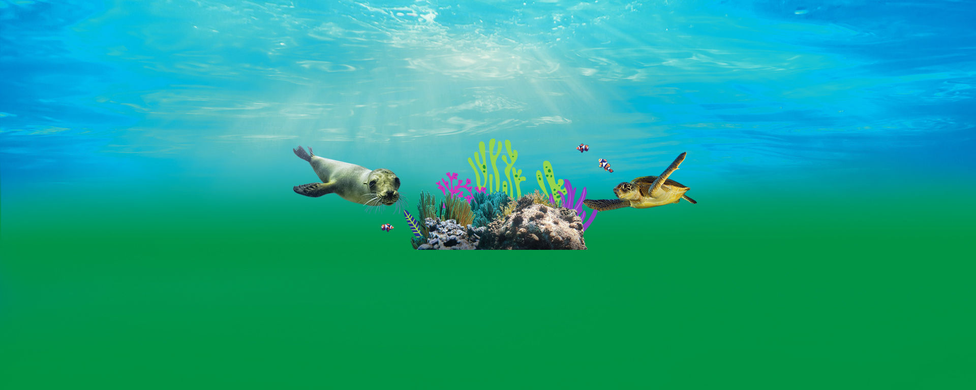 Conservation Evenings at SEA LIFE London