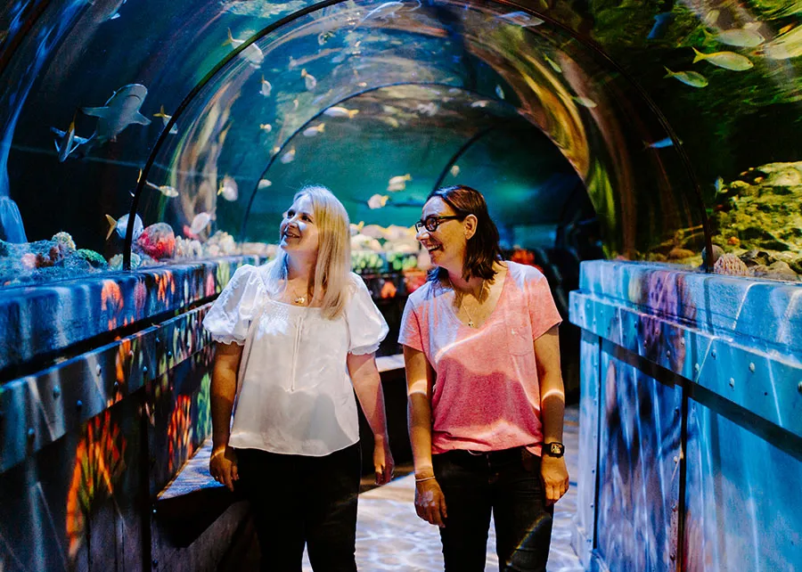 Schools Column 3 900X642