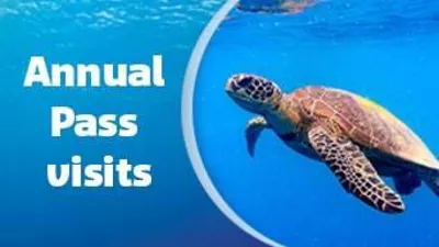 Annual Pass Pre Book
