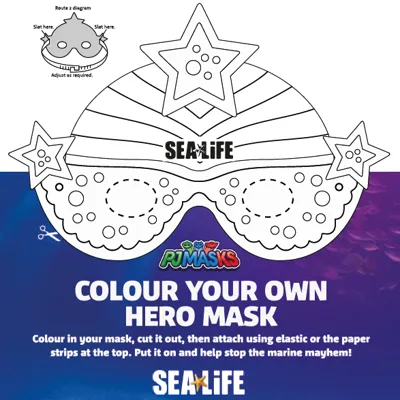 Hero Mask (2)
